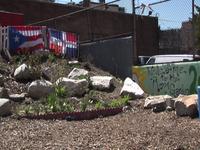 Little Green Garden