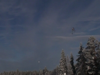Trex 600N Kontiolahti