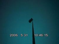 UCSD Whale Video
