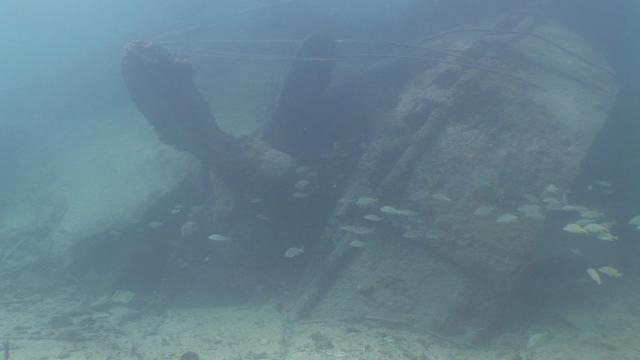 S.S. Sapona