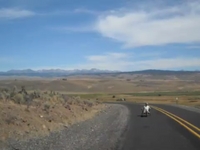 View Video