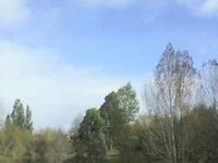 Southerly