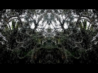 Sprinkler! (Symmetry Of Sound)