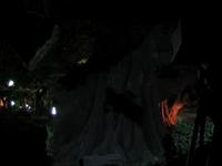 TelEctriFicus (mayo 2009)