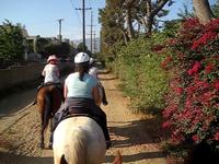 Horseback riding