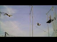 Exercises in Trapeze, #1