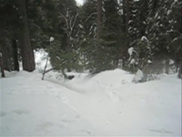 Tubing