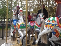 On the Carousel