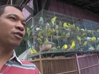 Yogyakarta Bird Market