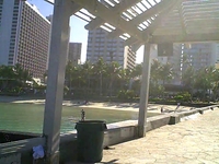 Hawaii Surf