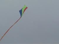 life of kites