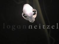 Logan Neitzel. Seattle Fashion Week video background