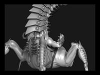 JJ Kuan 2009 reel