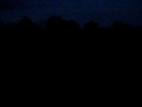 Lightning bugs