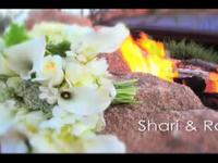 Shari and Robert Fusion Video