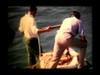 Ships and maritime videos