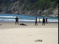 Surf Lesson