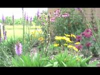 The Pollinator Pyramid