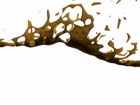paint toss test in realflow