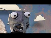 A Fly Film