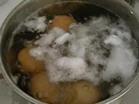 mitose