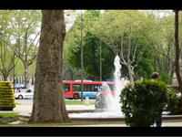 AAdvantage Milestones: Madrid (2of3)