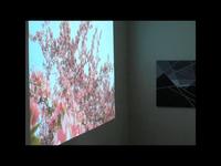 Bill Van Loo - "From Winter To Spring" performance excerpt