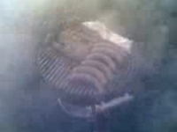 Grillen