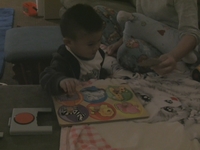 Animal Puzzle Fun
