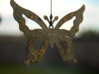 Macro Introspection Cut 2