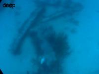 deep spearfishing in Florida