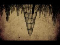 BATS - NAUTILUS VS. IRISH FERRIES