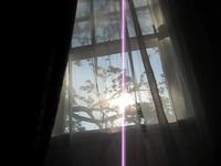 may's last glow