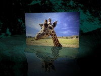 getty images2