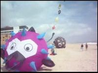 A Trip to the Beach