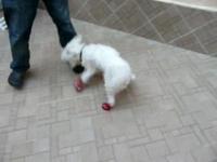 Baby usando botinhas :)