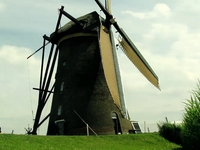 The Netherlands 2009