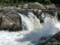 Voices of the River