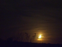 Moonset