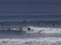 surf cornwall 31/5/09