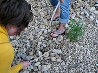 Pizza Farm quarry antics