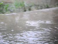 Rainy day