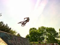 Will Fisher