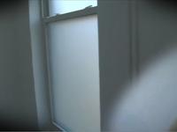 schizovision test numero dos