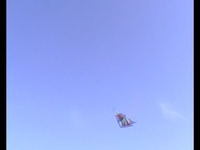 Spiderkites Zodarion flying in Cervia Beach