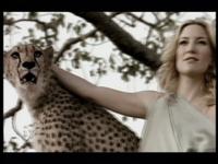 Wildaid - Beautifull
