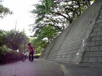 wall 180