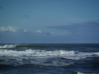 White Wave