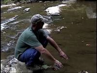 Spotlights on the Inspirational Risk-takers - Part 1