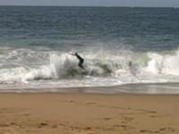 OCSkimboards.com - Wedge Wipeout